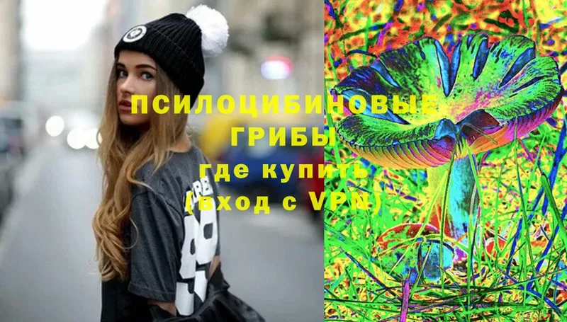 Галлюциногенные грибы Magic Shrooms  где купить наркотик  Александров 